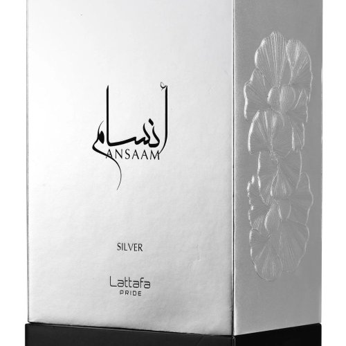 ANSAAM SILVER